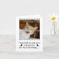Funky Photo Chat Chien Animaux de compagnie Carte 
