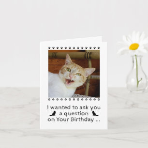 Funky Photo Chat Chien Animaux de compagnie Carte 