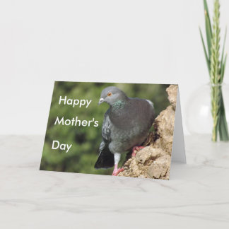 Funky-Pigeon-Muttertagskarten Karte