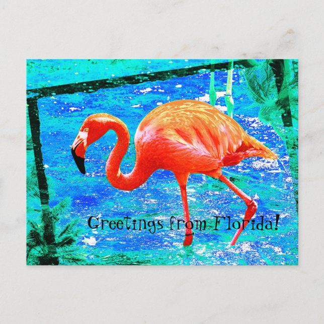 Funky pink Florida flamingo Reise Postkarte (Vorderseite)
