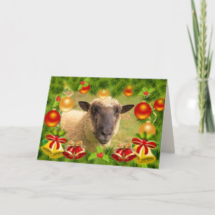 Funky Sheep Pun Christmas Carte de vacances