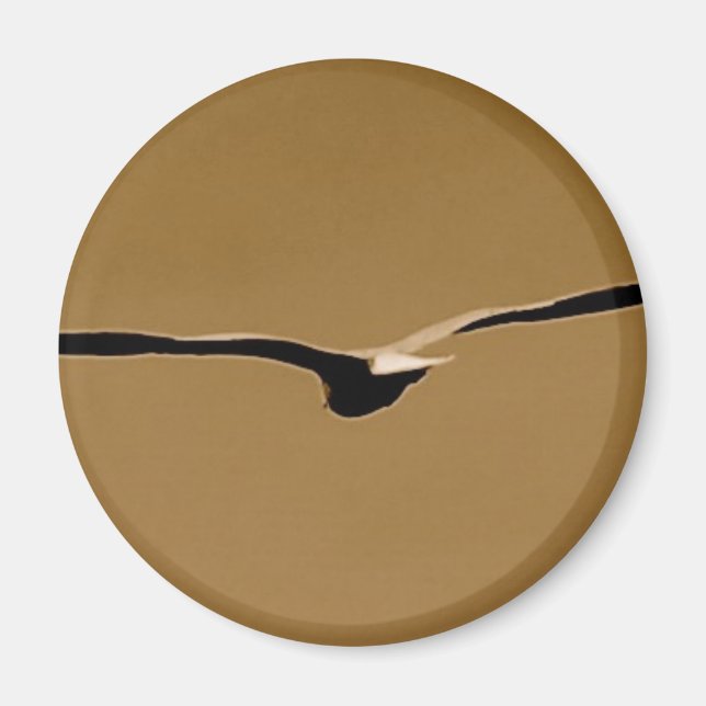 Funky Wings Magnet (Vorne)