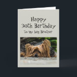 Funny 30. Geburtstag Big Brother Niedlich Hunde Ti Karte<br><div class="desc">Funny 30. Geburtstag Big Brother Niedlich Yorkshire Terrier Yorkie Dog Animal</div>