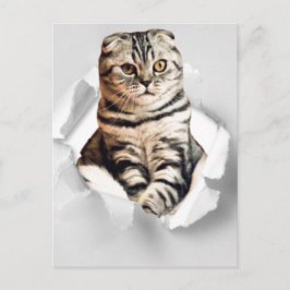 Funny 3d Grafik Cat zerrissene Papier Illustration Postkarte