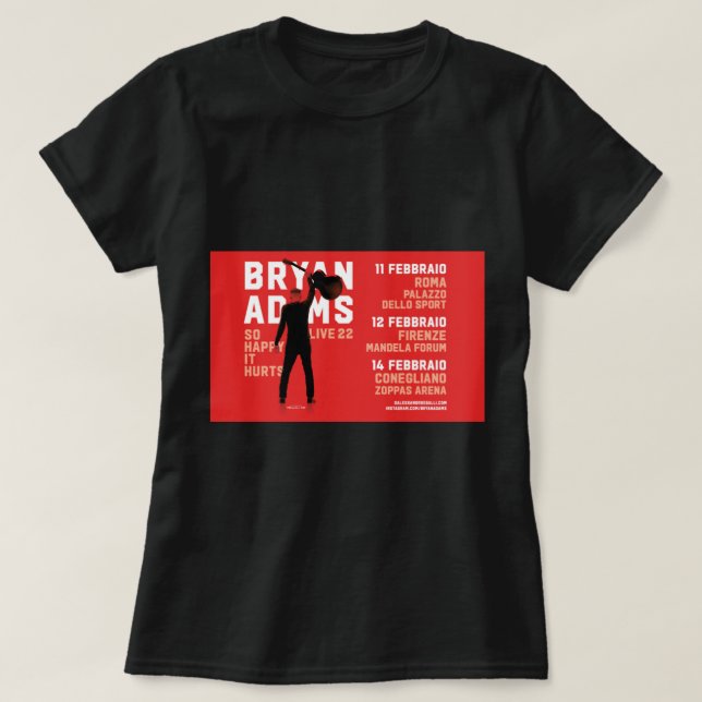 Funny 80er Songwriter Singer Gitarrist Sunset Rock T-Shirt (Design vorne)