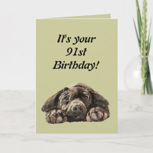 Funny 91. Geburtstag Customize Labrador Retriever Karte