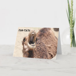 Funny Abschluss Card, Party Camel Karte