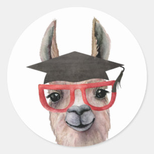 Funny Abschluss Llama Sticker
