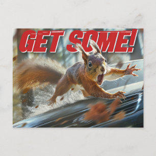 Funny Action Eichhörnchen Postcard "Get some" Postkarte