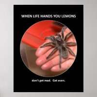 Funny Advice bekommt keine Mad und bekommt sogar