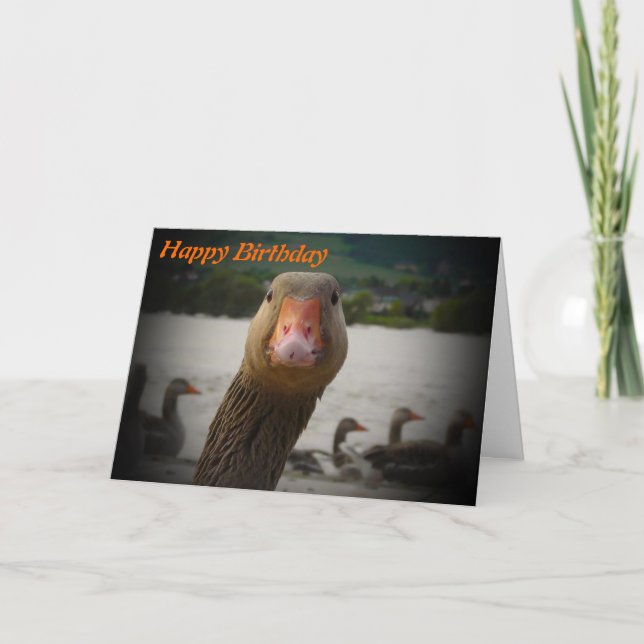 Funny Age Birthday Alte Vogel Gänse Karte (Vorderseite)