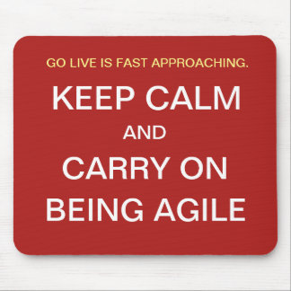 Funny Agile Project Manager Quotierungsteam Mousepad