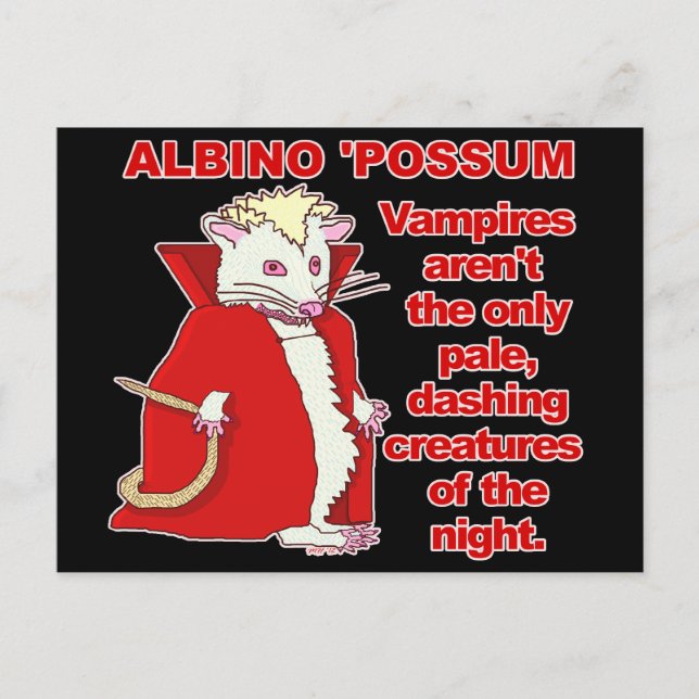 Funny Albino Possum Vampire Postkarte (Vorderseite)