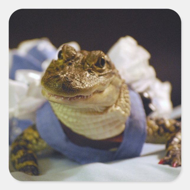 Funny Alligator Stickers (Vorderseite)