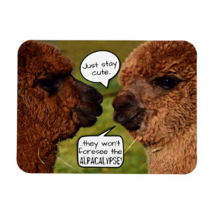 Funny Alpaca Alpacalypse Schemata Magnet