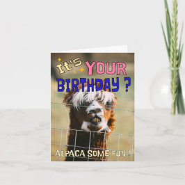 Funny Alpaca Birthday Card - Animal Pub Spaß Feiertagskarte