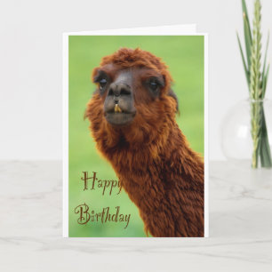 Funny Alpaca carte d'anniversaire