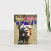 Funny Alpaca carte d'anniversaire - Animal Pun Hum