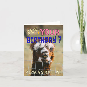 Funny Alpaca carte d'anniversaire - Animal Pun Hum