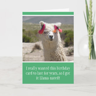 Funny Alpaca Llama Birthday Karte