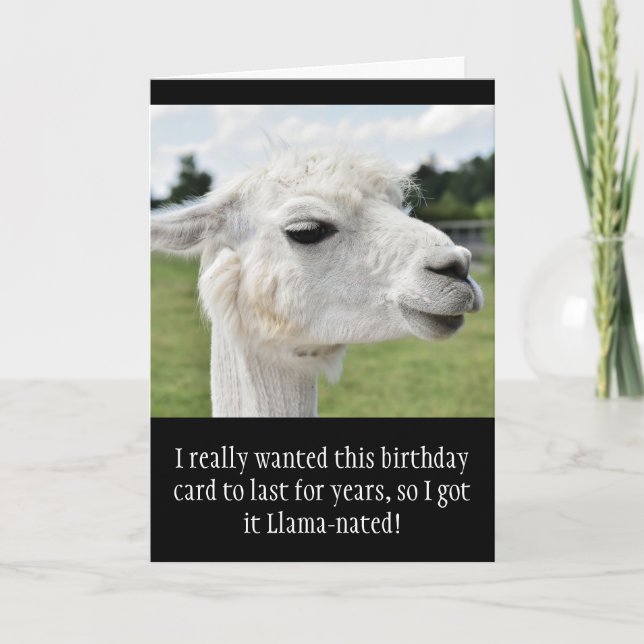 Funny Alpaca Llama Birthday Karte (Vorderseite)