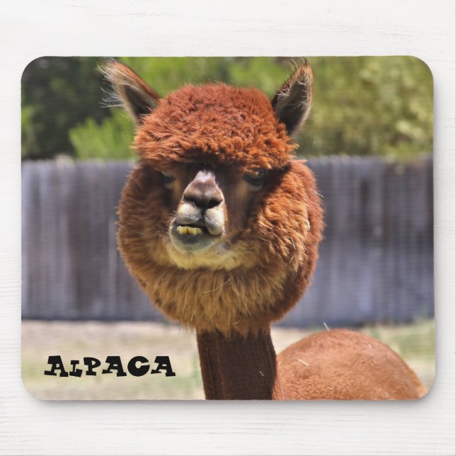 Funny Alpaca Mousepad (Vorne)