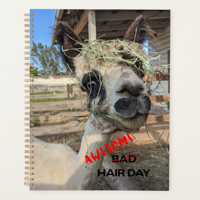 Funny Alpaca Planner Planer (Vorderseite)