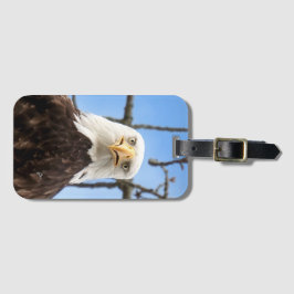 Funny American Bald Eagle Face Wildlife Fotograf Gepäckanhänger