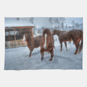 Funny Amour Stallion und Reluctant Mare Horses Geschirrtuch