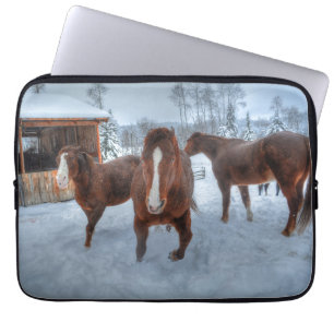 Funny Amour Stallion und Reluctant Mare Horses Laptopschutzhülle
