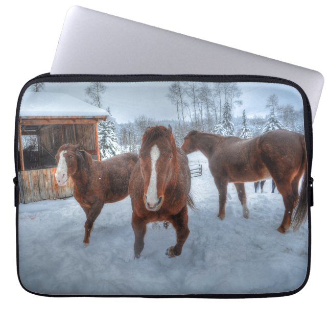 Funny Amour Stallion und Reluctant Mare Horses Laptopschutzhülle (Vorderseite)