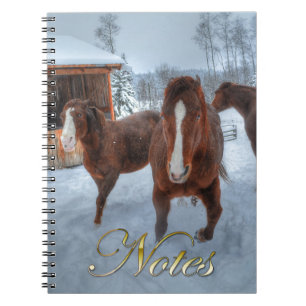 Funny Amour Stallion und Reluctant Mare Horses Notizblock