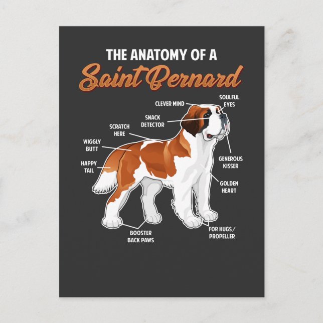 Funny Anatomy a Saint Bernard Dog Animal Friend Postkarte (Vorderseite)