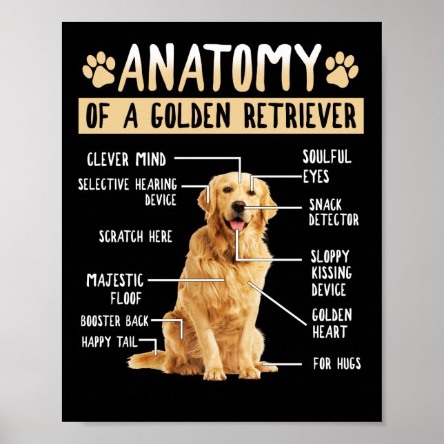 Funny Anatomy Golden Retriever Dog Lover Gift Poster (Vorne)