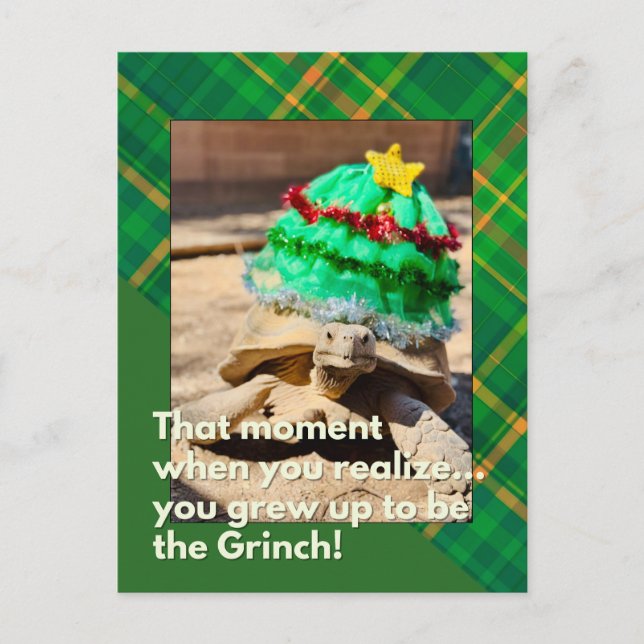 Funny and Festivoll Tortoise Weihnachten Postkarte (Vorderseite)