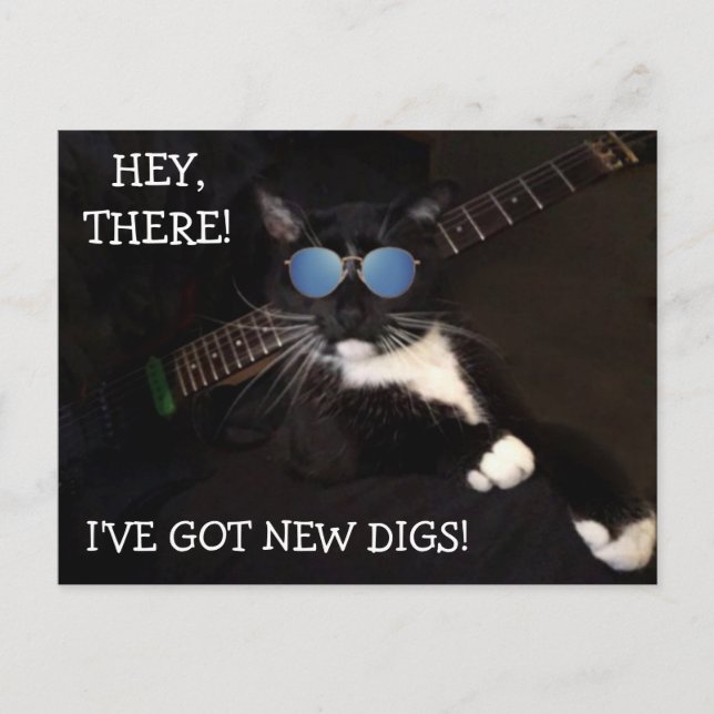 Funny Angesagt und Cool Cat Moving Postcard Postkarte (Vorderseite)