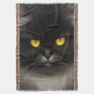Funny Angry Fluffy Black Persian Kitty Cat Face Decke