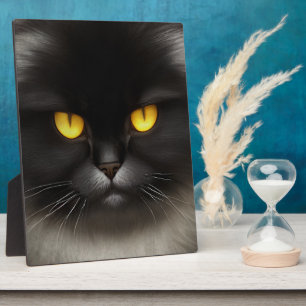 Funny Angry Fluffy Black Persian Kitty Cat Face Fotoplatte
