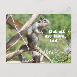 Funny Angry Squirrel Postcard Postkarte