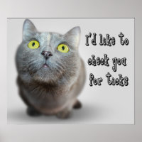 Funny Animal Memes Cat Memes Humore Fotos