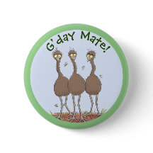 Funny Australian emu trio Cartoon Illustration
