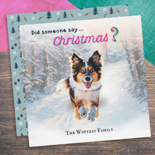 Funny Australian Shepherd Dog In Snow Feiertagskarte
