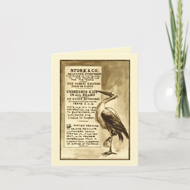 Funny Babies kommen in alle Shades-Stork & Co Karte (Vorderseite)
