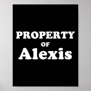 Funny Bachelor Geschenke für Grundbesitz von Alexi Poster
