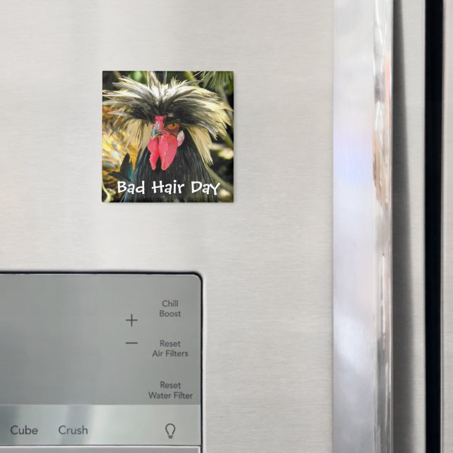 Funny Bad Hair Day Chicken Meme Magnet (In Situ (Kühlschrank))