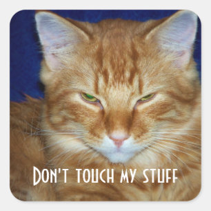 Funny Bad Mood Tabby Cat Sticker