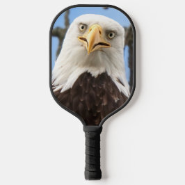 Funny Bald Eagle Face Wildlife Fotografy Pickleball Schläger