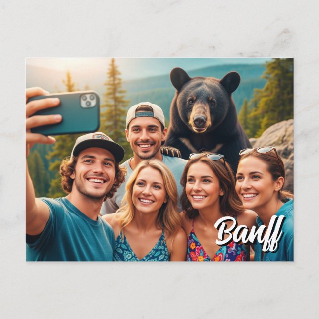 Funny Banff National Park Canada Black Bear Postkarte (Vorderseite)