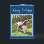 Funny Basset Hound on Niedliche Geburtstag Card w/ Karte<br><div class="desc">Funny Basset Hound auf Niedliche Geburtstag Card mit Balloons</div>