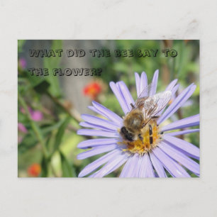 Funny Bee Carte postale